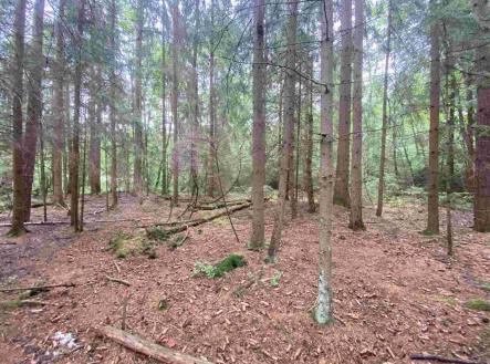 Prodej - pozemek, zemědělská půda, 10 460 m²