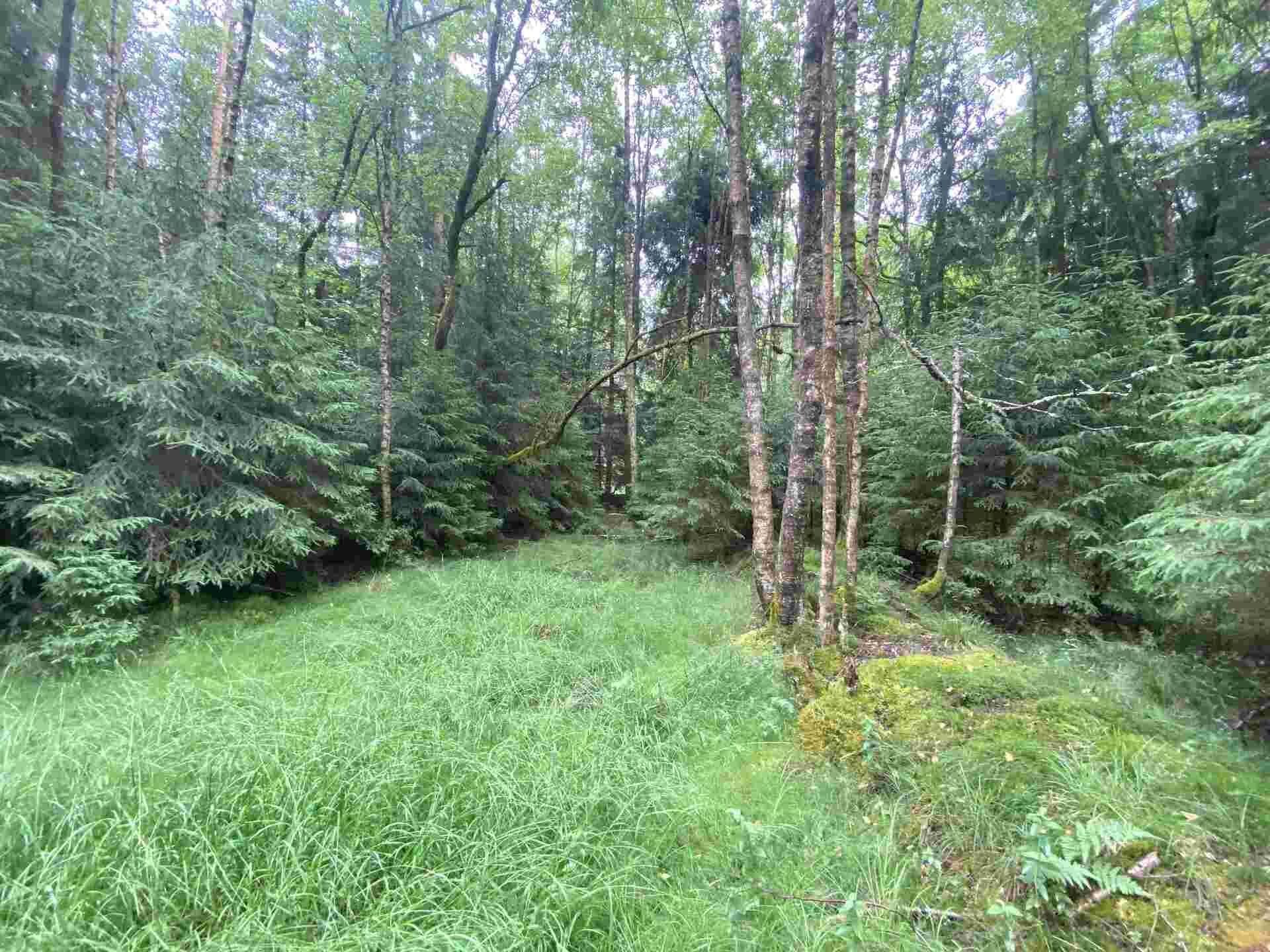 dražba pozemku Újezd u Krásné