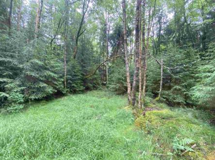 Prodej - pozemek, zemědělská půda, 10 460 m²