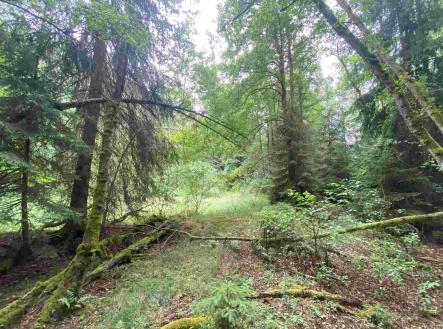 Prodej - pozemek, zemědělská půda, 10 460 m²