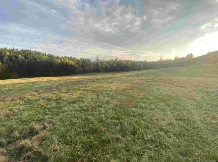 Prodej - pozemek, zemědělská půda, 7 470 m²