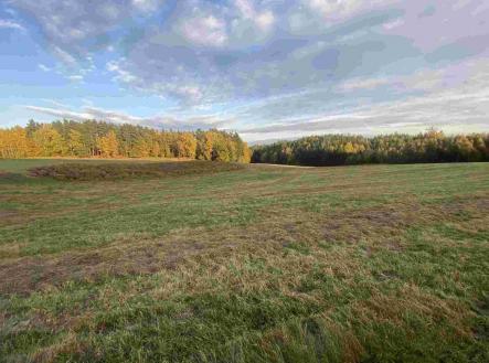Prodej - pozemek, zemědělská půda, 7 470 m²