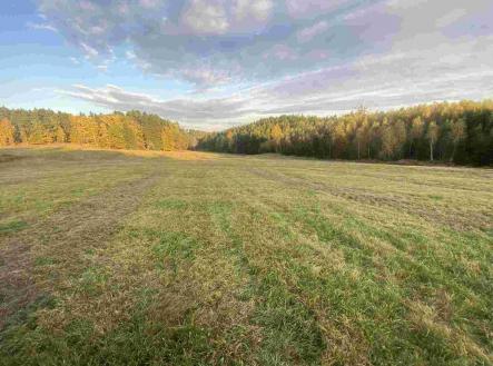 Prodej - pozemek, zemědělská půda, 7 470 m²