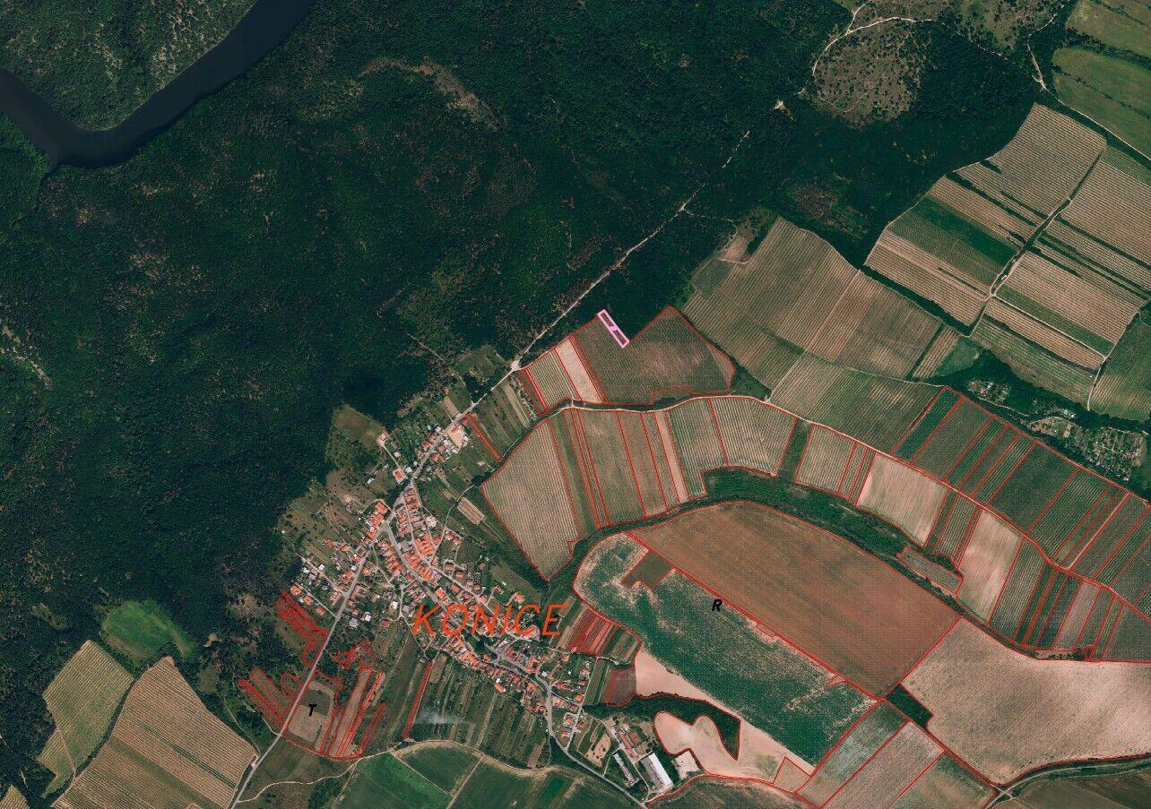 Dražba vinice Konice u Znojma