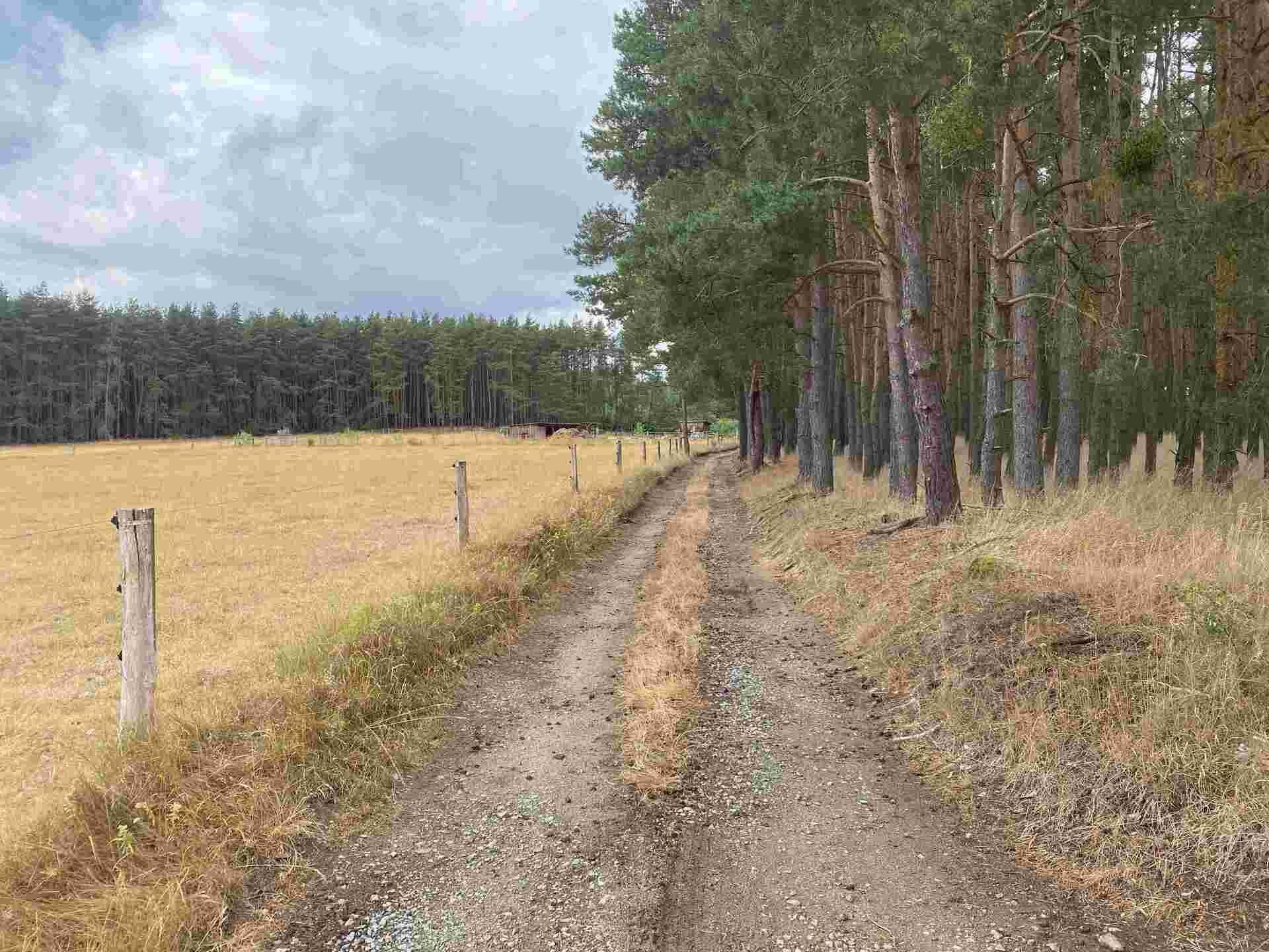 dražba pozemku k.ú. Tuněchody u Stříbra