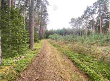 Prodej - pozemek, ostatní, 1 744 m²