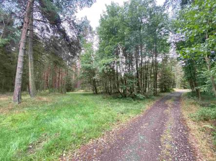 Prodej - pozemek, ostatní, 1 744 m²