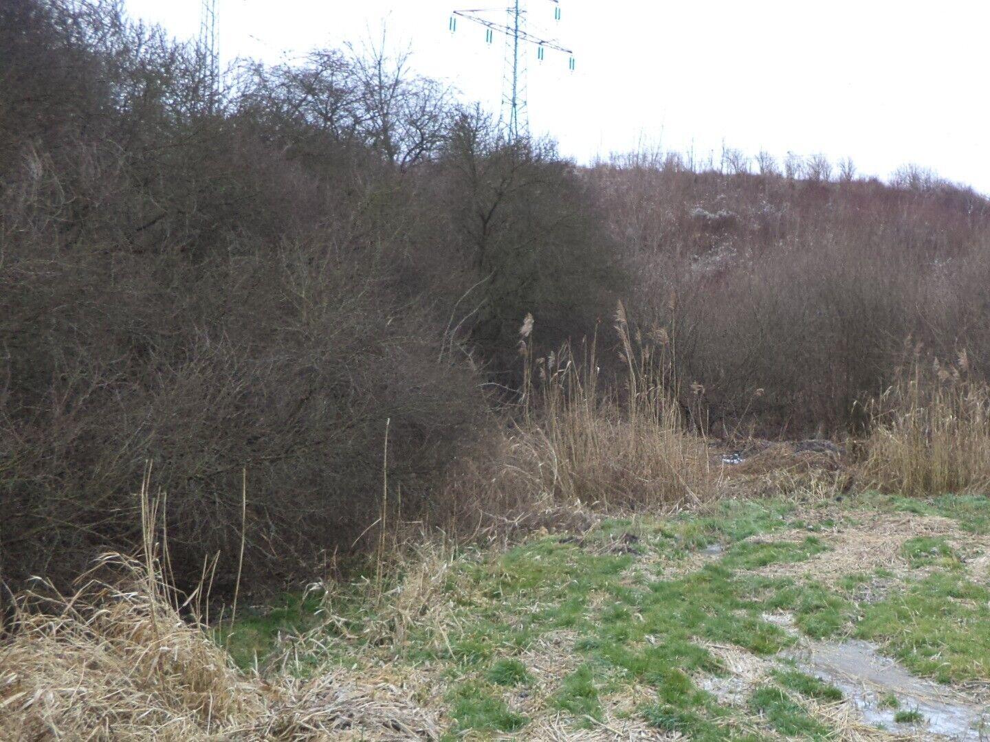 DRAŽBA pozemků Popovice u Brandýsa nad Labem