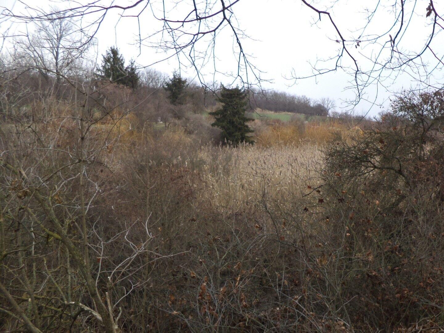 DRAŽBA pozemků Popovice u Brandýsa nad Labem