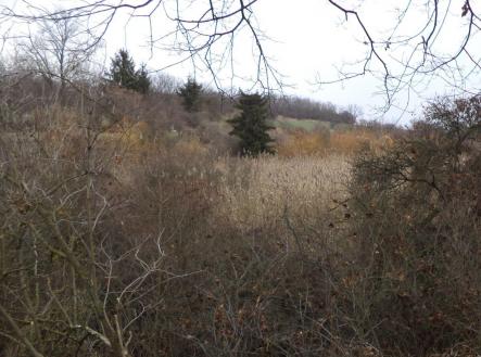 Prodej - pozemek, ostatní, 1 366 m²