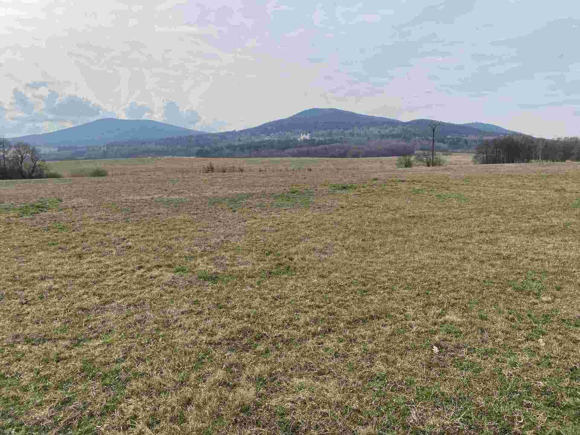 Prodej pozemků Bedřichov u Horní Stropnice