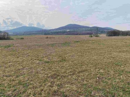 Prodej - pozemek pro bydlení, 3 502 m²