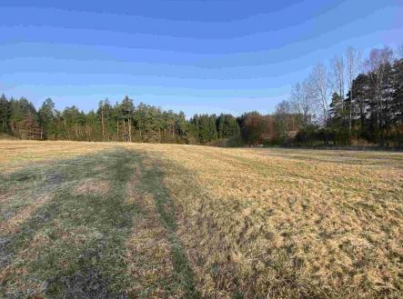 Prodej - pozemek, zemědělská půda, 785 m²