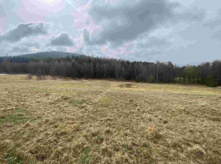 Prodej - pozemek, zemědělská půda, 8 071 m²