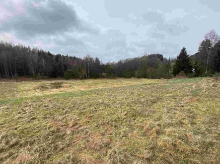 Prodej - pozemek, zemědělská půda, 8 071 m²