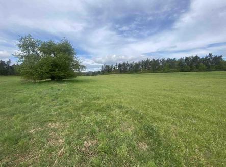 Prodej - pozemek, zemědělská půda, 11 969 m² obrázek