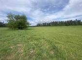 Prodej - pozemek, zemědělská půda, 11 969 m²