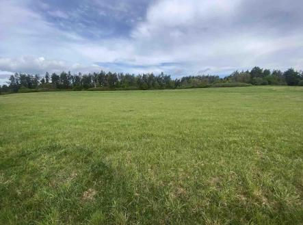 Prodej - pozemek, zemědělská půda, 11 969 m²