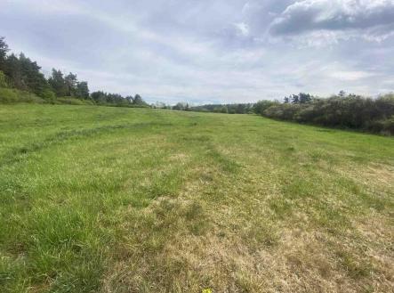 Prodej - pozemek, zemědělská půda, 11 969 m²