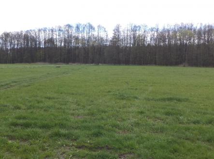 Prodej - pozemek, zemědělská půda, 2 609 m²