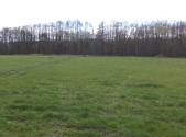 Prodej - pozemek, zemědělská půda, 2 609 m²
