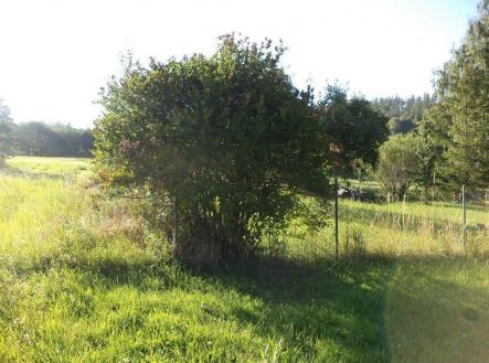 Prodej - pozemek, zahrada, 694 m²