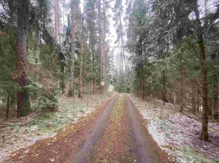 Prodej - pozemek, ostatní, 23 222 m²