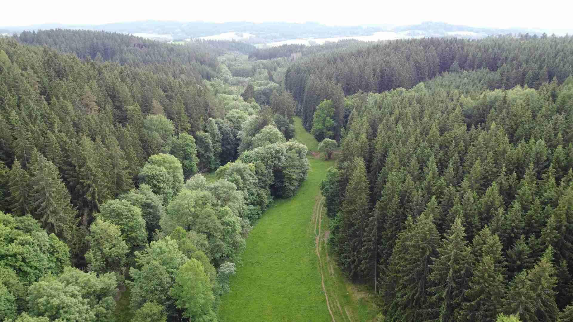 DRAŽBA pozemku Chotěvice