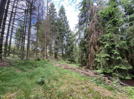 Prodej - pozemek, ostatní, 3 072 m²
