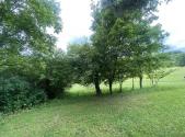 Prodej - pozemek, ostatní, 343 m²