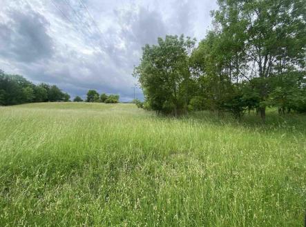 Prodej - pozemek, zemědělská půda, 12 772 m²
