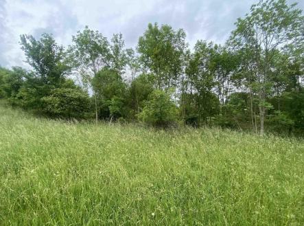 Prodej - pozemek, zemědělská půda, 12 772 m²