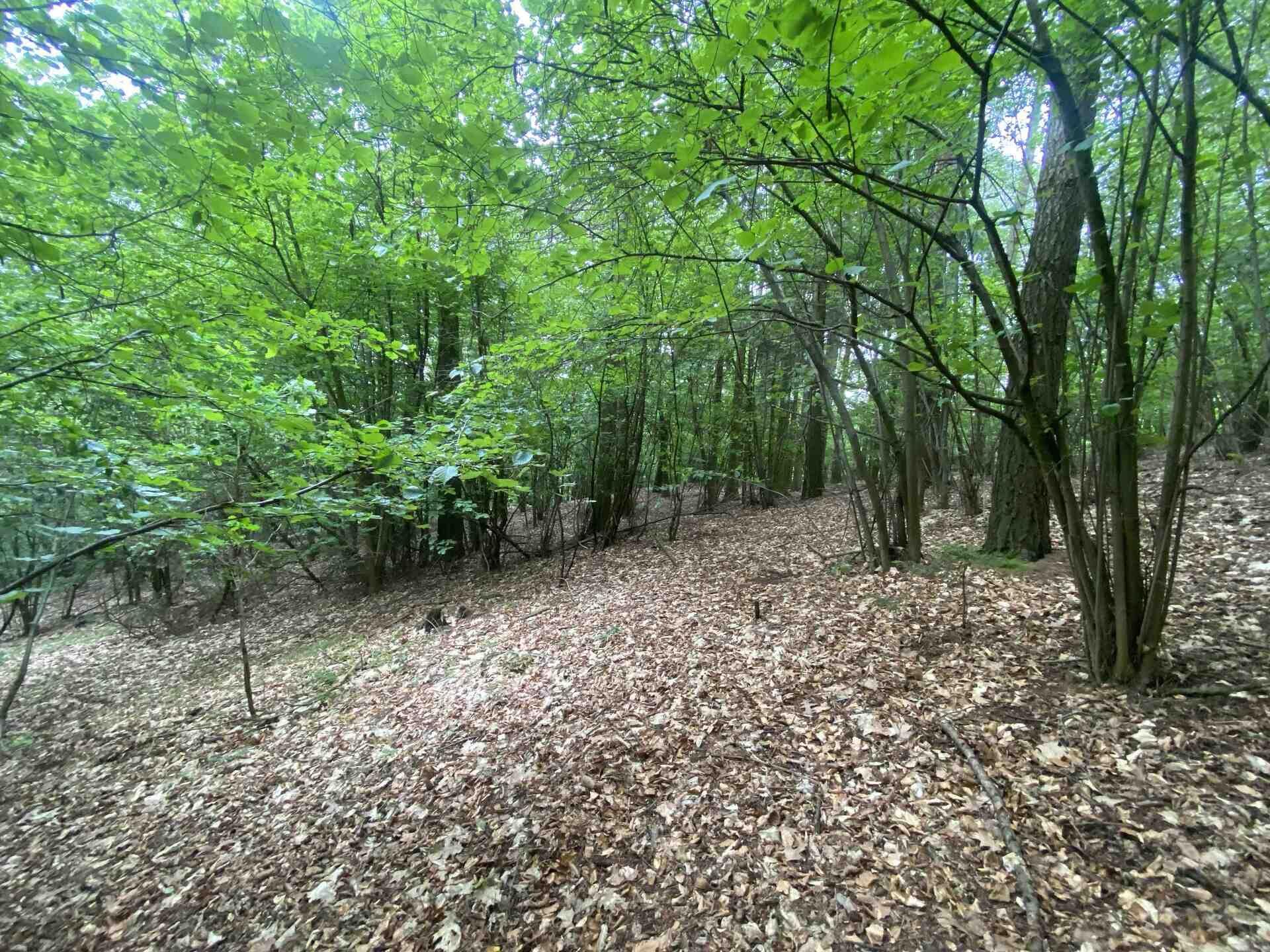 Prodej pozemků Popovice u Benešova