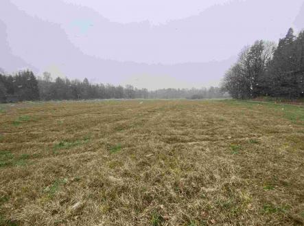 Prodej - pozemek, ostatní, 16 799 m²