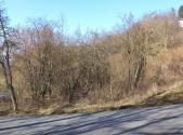 Prodej - pozemek, zahrada, 1 700 m²