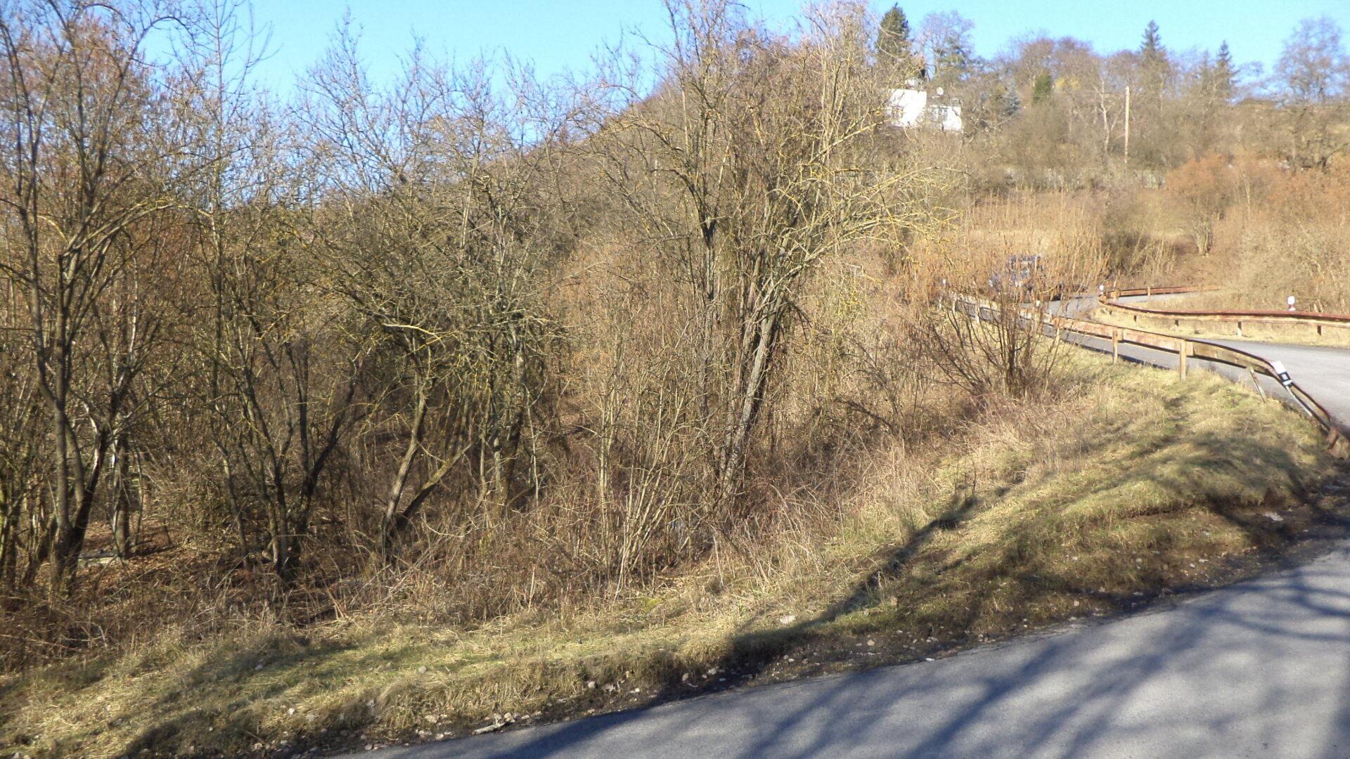 Prodej pozemku Trmice
