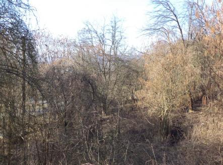 Prodej - pozemek, zahrada, 1 700 m²