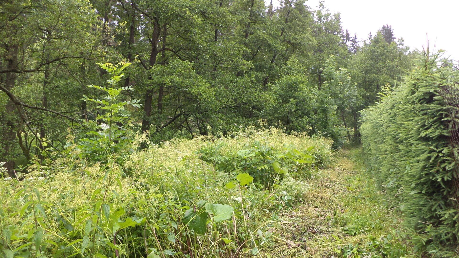 Dražba pozemků Horní Teplice