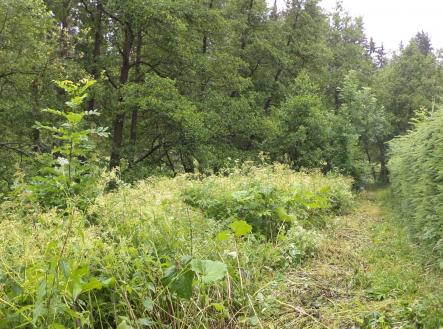 Prodej - pozemek pro bydlení, 18 922 m²