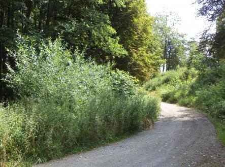 Prodej - pozemek, ostatní, 1 046 m²