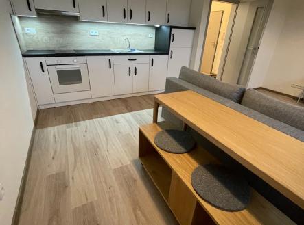 NIKOLA SUKENIKOVA JOLK REALITY PRONÁJEM BYTU 1KK OPAVA PREDMESTI | Pronájem bytu, 1+kk, 32 m²