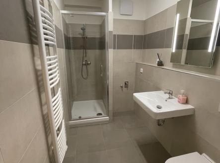 NIKOLA SUKENIKOVA JOLK REALITY PRONÁJEM BYTU 1KK OPAVA PREDMESTI | Pronájem bytu, 1+kk, 32 m²