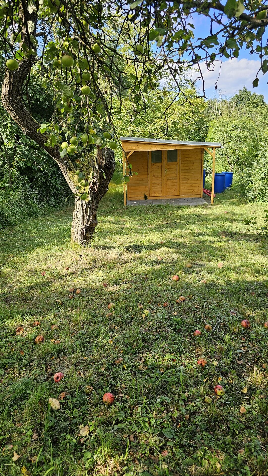 Chatka se zahradou 400m2 v Brně Lesné, vodovod, rovina, ovoce.