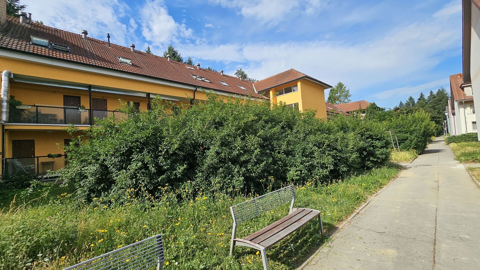 Ihned volná zařízená garsoniéra 26m2 po rekonstrukci, Brno Komín Součkova.