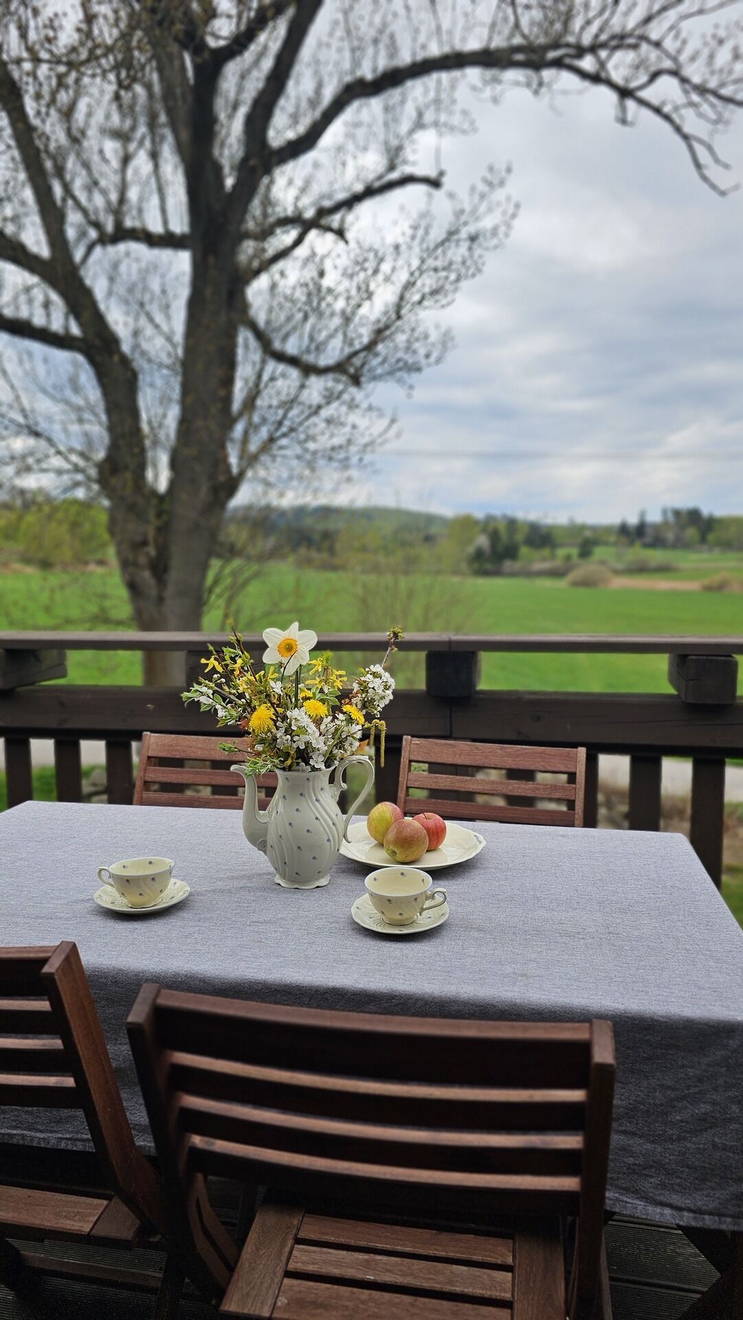 Dny otevřených dveří - sobota- 2.800 m2 u Telče s novostavbou RD 360m2.