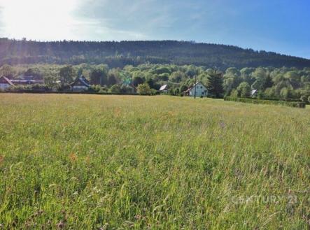 . | Prodej - pozemek pro bydlení, 8 100 m²