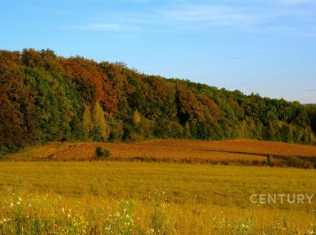 . | Prodej - pozemek pro bydlení, 8 100 m²