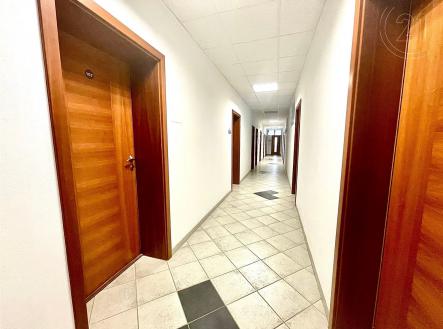 Pronájem - kanceláře, 490 m²