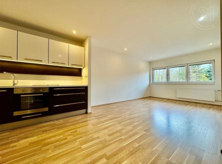 kuchyně s dřevěná podlaha, radiátor, deformace, přirozené světlo, a trouba | Pronájem bytu, 2+kk, 47 m²