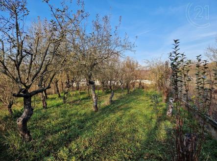 . | Prodej - pozemek pro bydlení, 508 m²